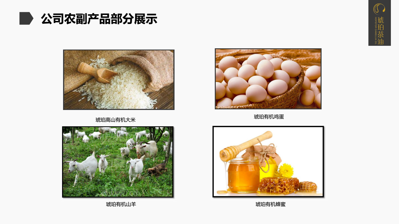 重庆琥珀茶油有限公司(图5)
