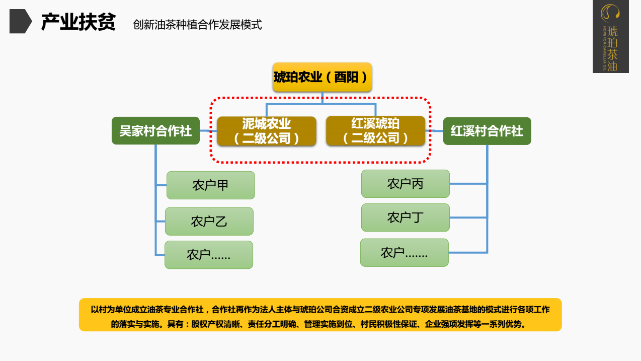 重庆琥珀茶油有限公司(图14)