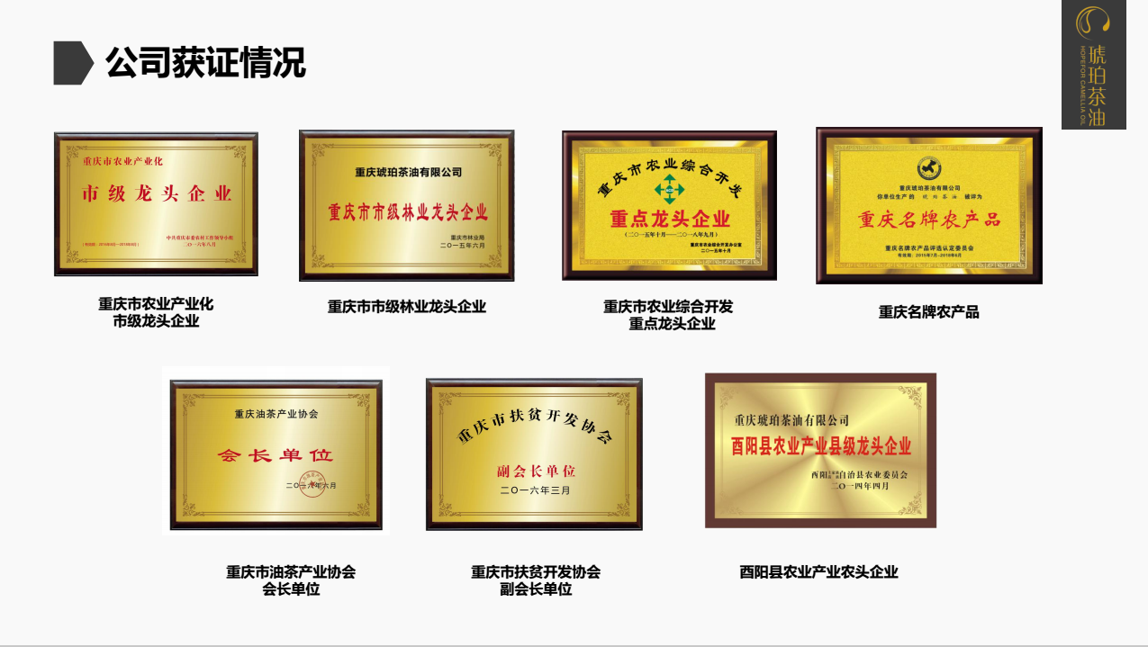 重庆琥珀茶油有限公司(图18)