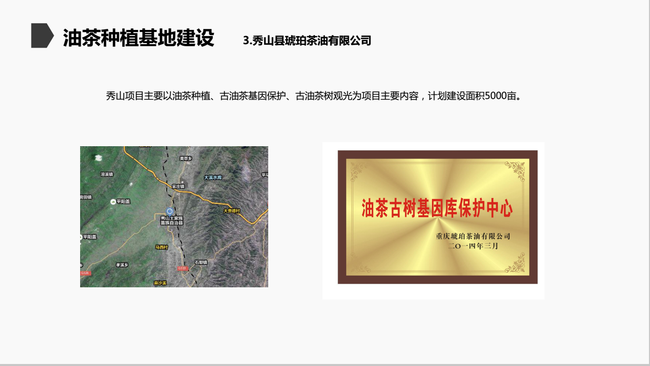 重庆琥珀茶油有限公司(图22)
