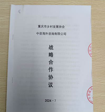 重庆市乡村发展协会与中咨海外咨询有限公司(中央企业)签订战略合作协议(图3)