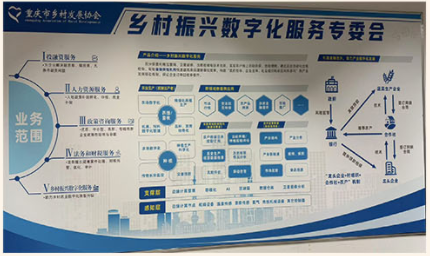 协会召开会议,指导数字化服务 专委会当前的工作(图3)